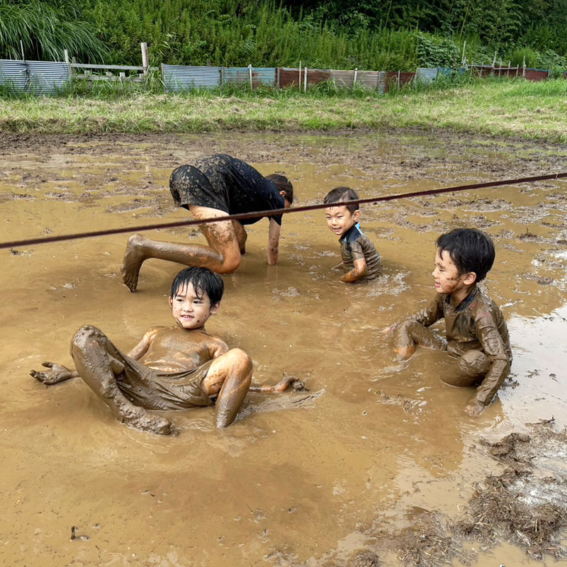 どろんこクラブ
